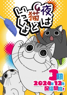 Nights with a Cat Season 3 Nights with a Cat Season 3